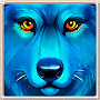 Wolf Wolf